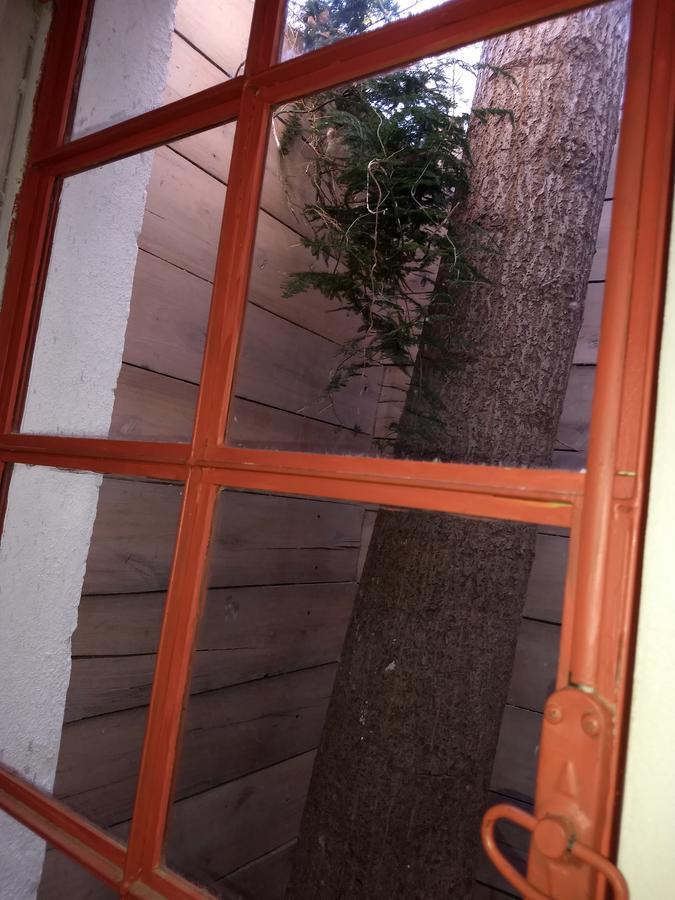 Puerto PirámidesEl Tamariscoアパートメント エクステリア 写真